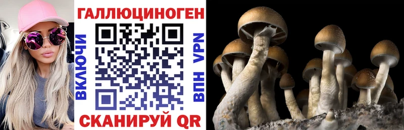 Галлюциногенные грибы мицелий Усть-Кут